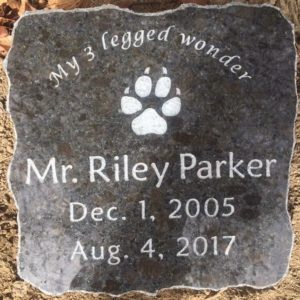 Marker Amber Pet Riley Parker 3