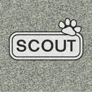 Pb Cube Scout